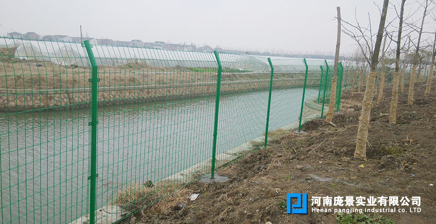 圈地草莓视频污在线看免费网.jpg