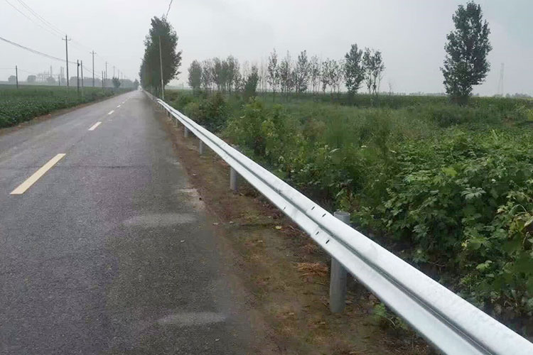 波形草莓视频污在线看免费.jpg