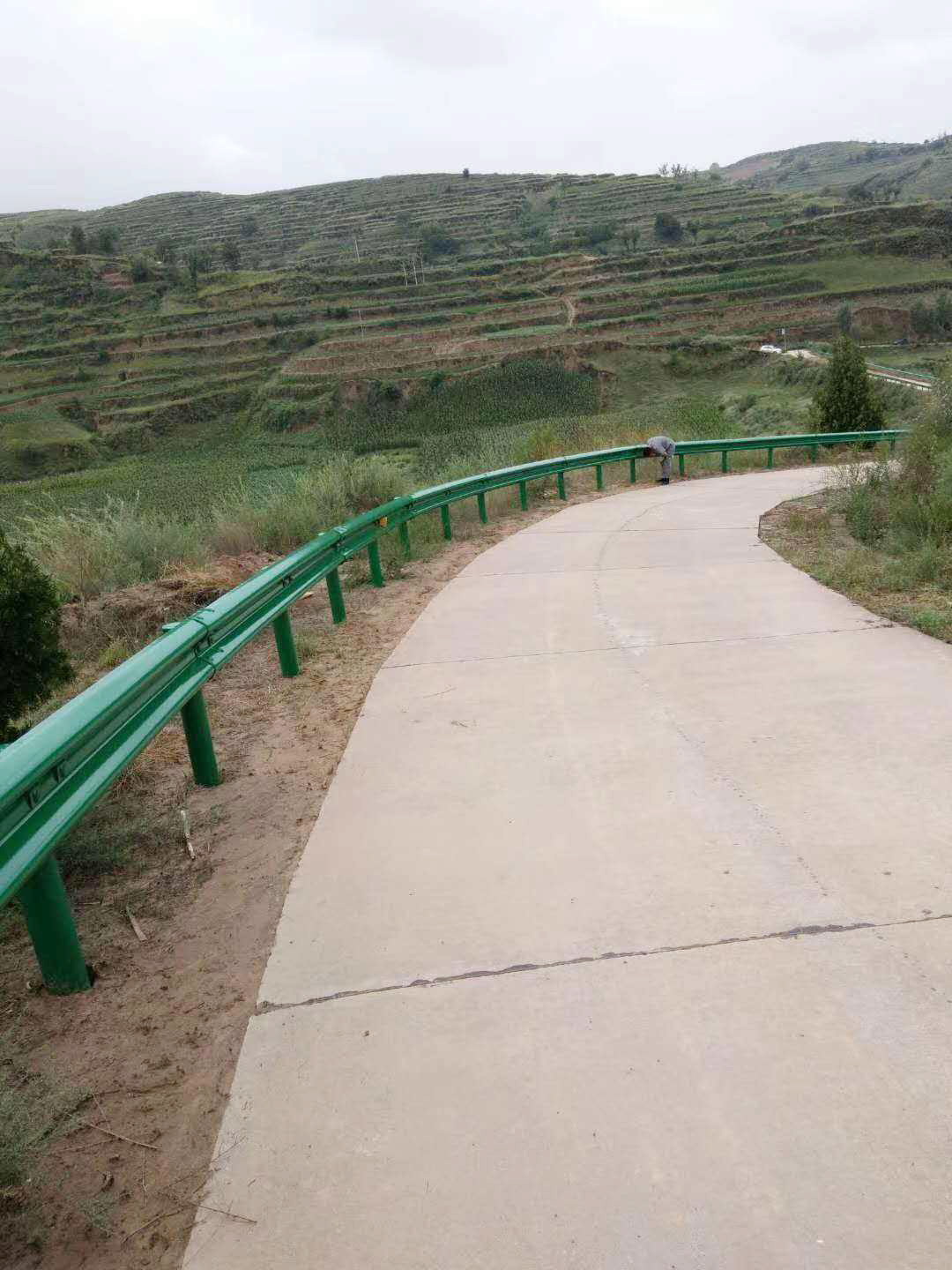 波形草莓视频污在线看免费.jpg