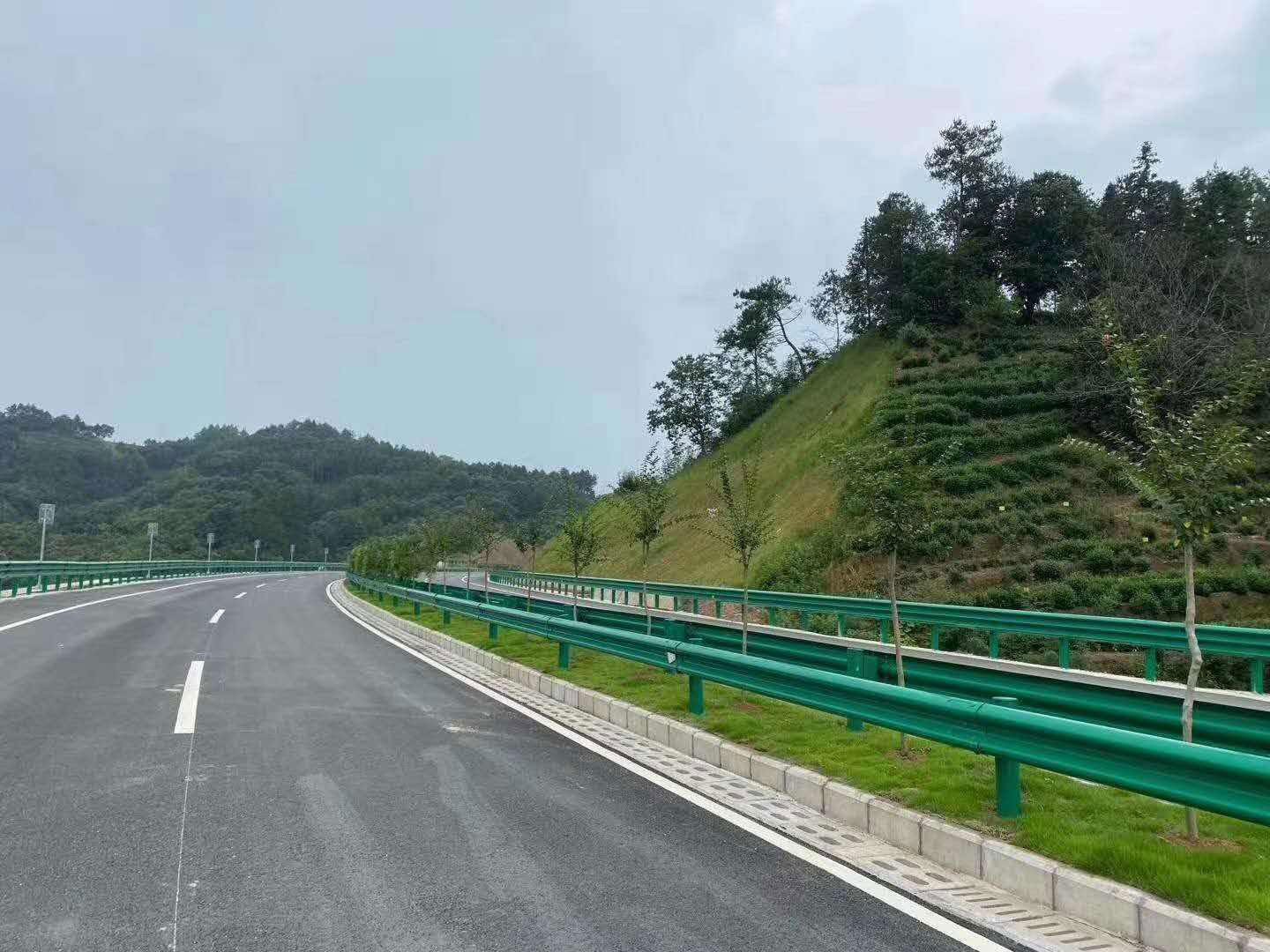 高速波形草莓视频污在线看免费.jpg
