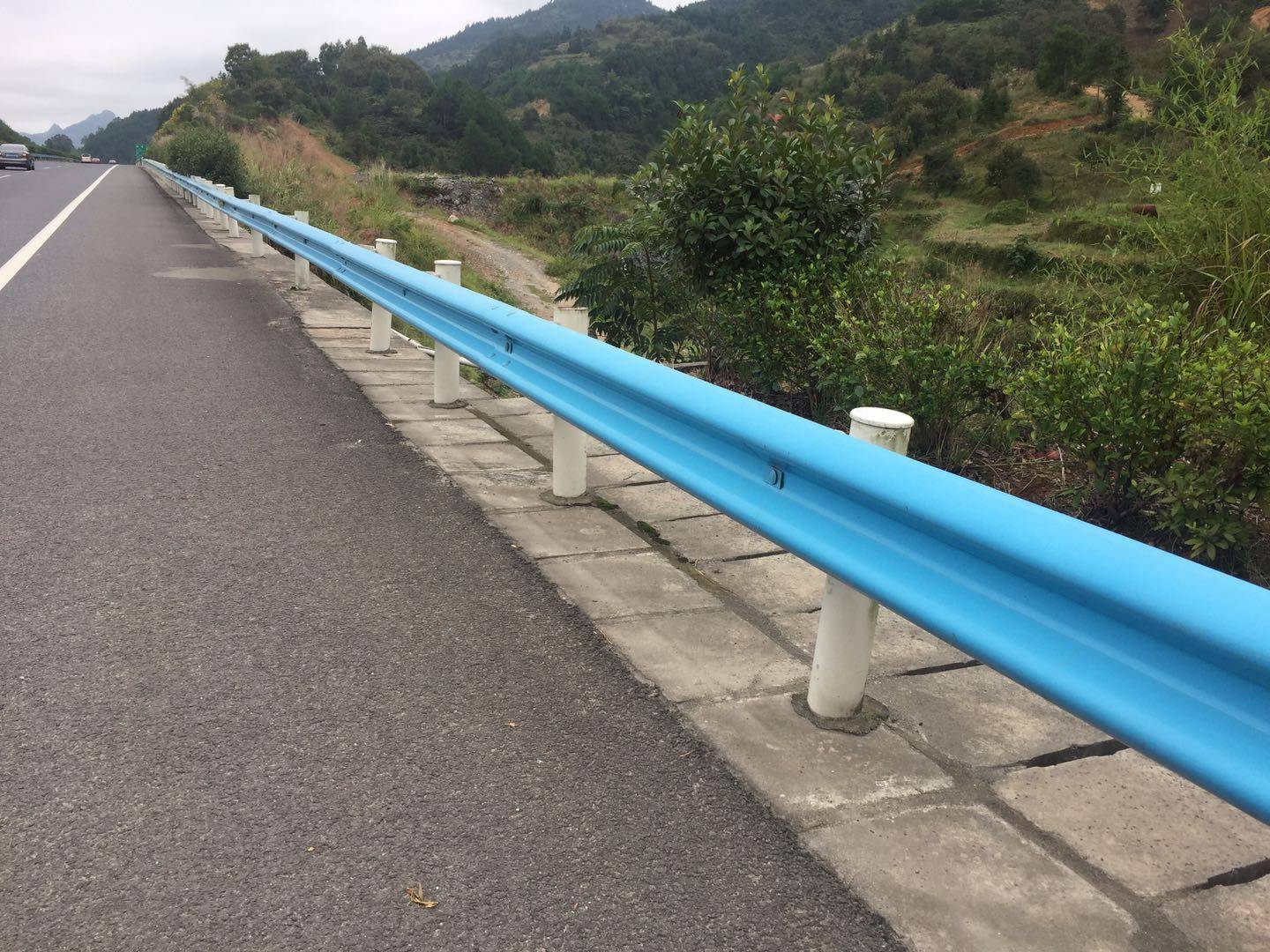 波形草莓视频污在线看免费.jpg